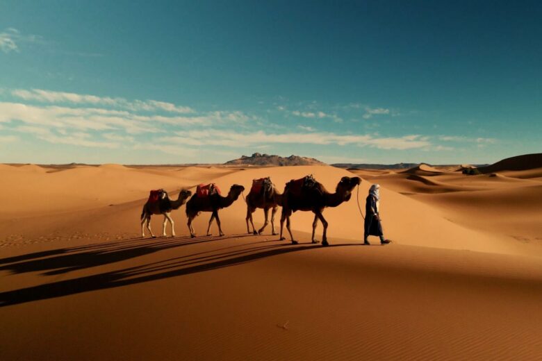 Open Sahara landscape near Golden Dune Luxury Camp