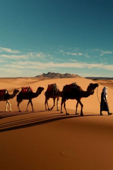 Sahara dunes near Golden Dune Luxury Camp