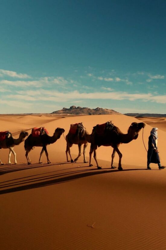 Sahara dunes near Golden Dune Luxury Camp